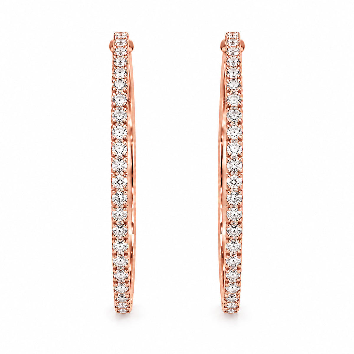 Moon Dust Rose Gold Plated White CZ Studded Medium Sized Hoop Earrings for Women (MD_100_RG)