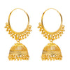 Traditional Gold Plated Medium Size Classic Design Jhumki Earrings for Women (SJE_37)