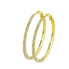 Austrian Crystal and CZ Gold Plated Hoop Earrings for Women (SJ_1095)