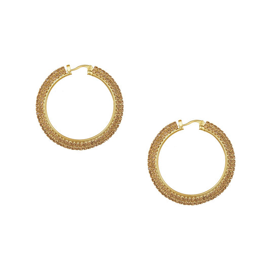 Austrian Crystal and CZ Gold Plated Hoop Earrings for Women (SJ_1361)