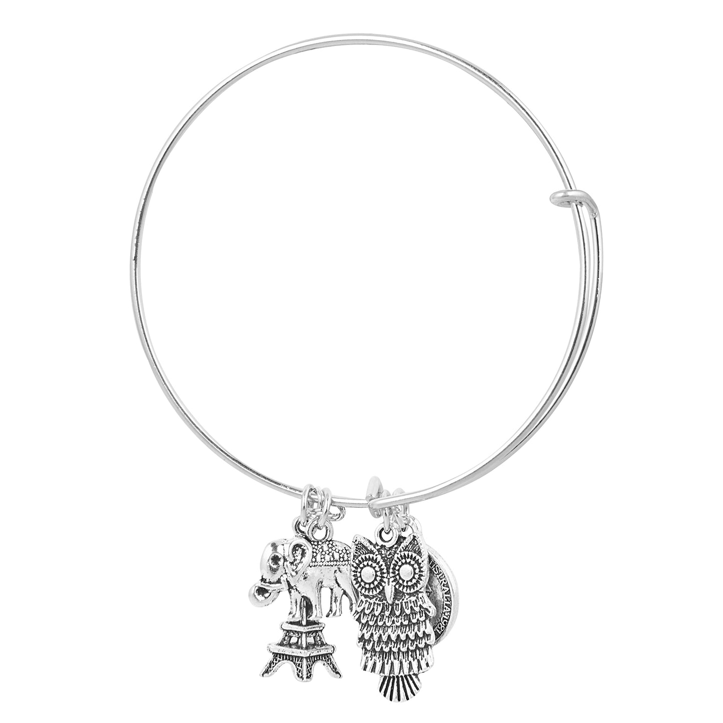 925 Silver Plated Charms Bracelet  for Girls & Women (SJ_3239)