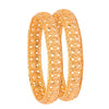 Fashion Gold Plated Traditional Designer Bangles for Women (Pack of 2) SJ_3429